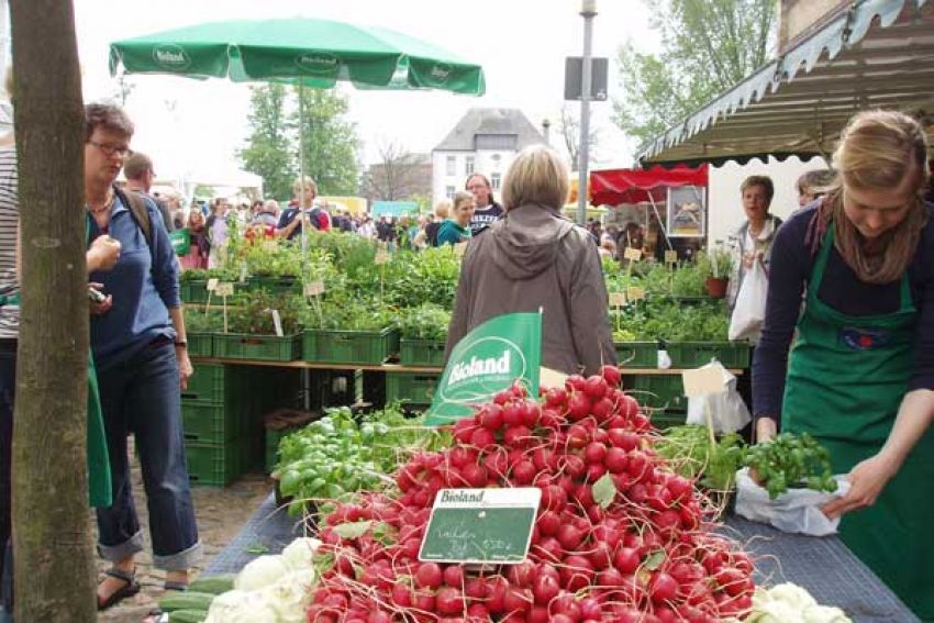 Gummifische in Schleswig-Holstein - Steinburg, Freunde und Freizeitpartner  finden